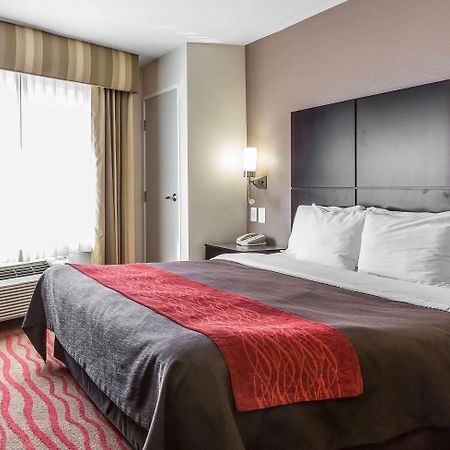 Comfort Inn Los Angeles Near Hollywood Dış mekan fotoğraf